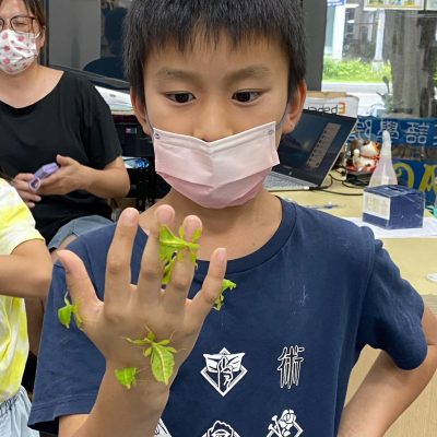 誰的腳比較多？【竹節蟲、鞭蠍、蜈蚣】