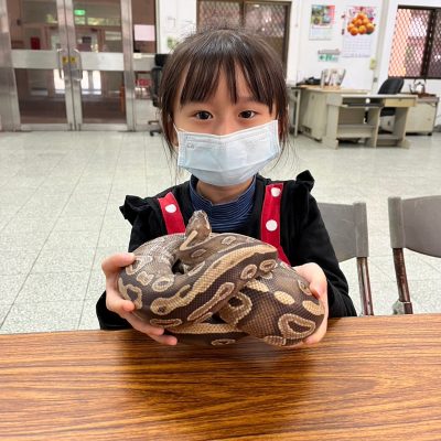 新春賀歲～錢都蛇進來